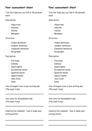 creative writing peer assessment sheet