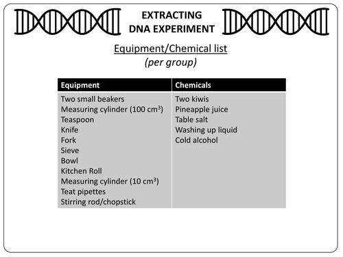 DNA Extraction: Experiment