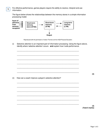 Lesson 2 Information Processing