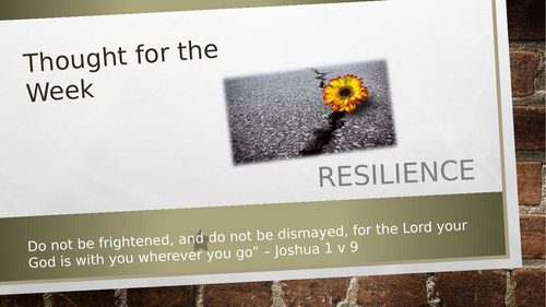 Resilience Assembly