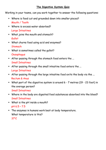 The Digestive System | Teaching Resources