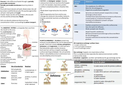 AQA Biology (9-1) Moving and Changing Materials Knowledge Organiser