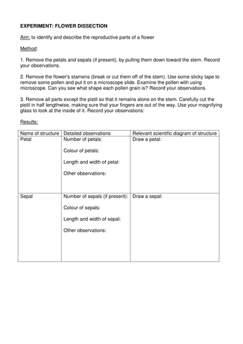 KS3 B5.5 Reproduction in plants (Flower Dissection) | Teaching Resources