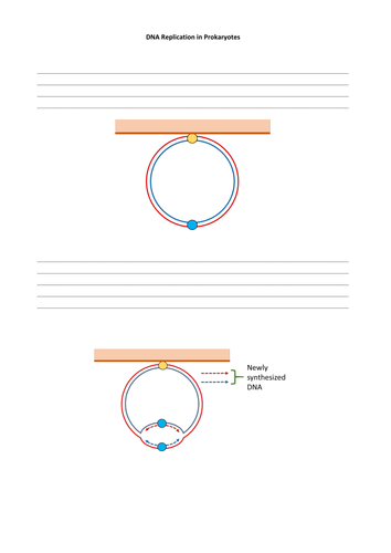 docx, 204.93 KB