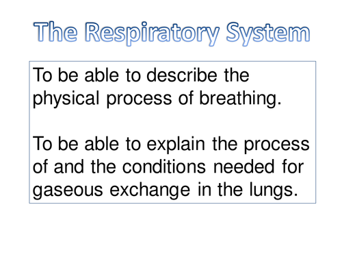 Breathing and Ventilation | Teaching Resources