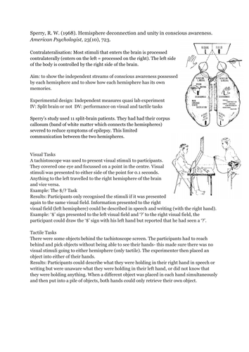 Sperry summary sheet