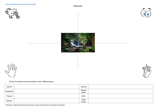 Introduction to the rainforest worksheets