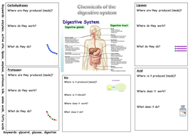 New AQA Resources Digestive System and Organisation - Extended writing
