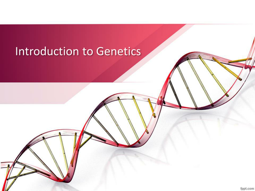 introduction-to-genetics-powerpoint-teaching-resources