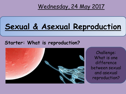 New Aqa Gcse Biology Inheritance Lesson 1 Asexual And Sexual 7539