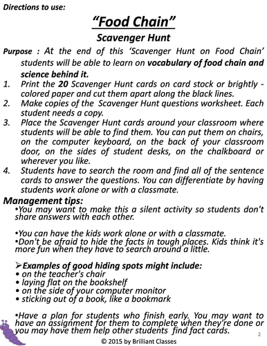 Food Chain Scavenger Hunt-An Activity Biology Diagrams
