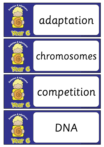 year-6-science-vocabulary-evolution-inheritance-teaching-resources