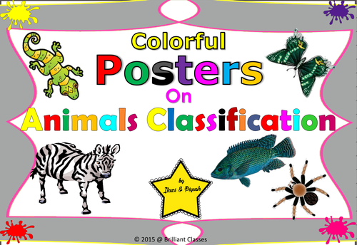 Animal classification posters for classroom | Teaching Resources