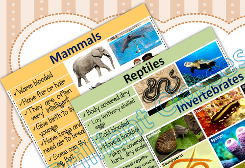 Animal classification posters for classroom | Teaching Resources