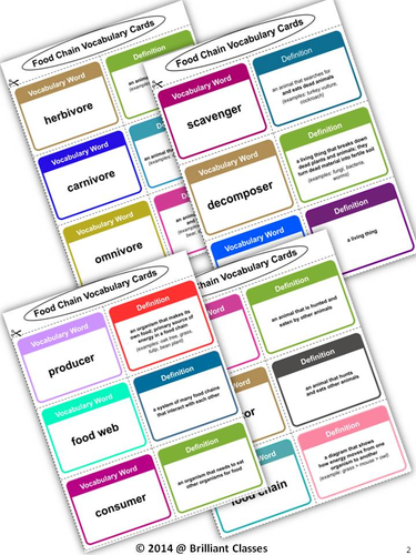 food-chain-vocabulary-cards-a-tool-to-enrich-the-vocab-teaching