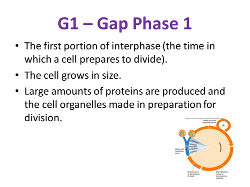 Aqa a level biology specification image