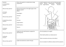 KS3 Nutrition and digestion revision mat by BLJohnson39 - Teaching ...