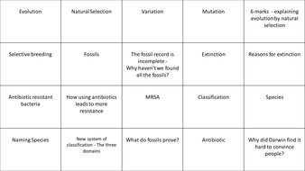 aqa combined science gcse biology 2 revision flashcards by fi5hboy