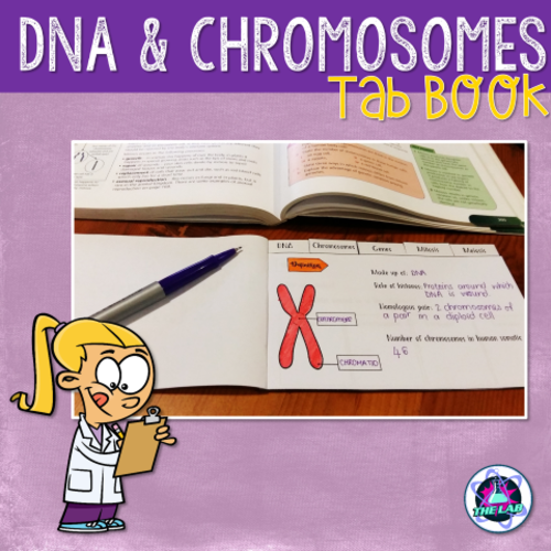 DNA & Chromosomes Interactive Notebook Activity