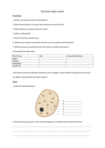 AQA B2 Revision sheets | Teaching Resources