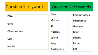 Chromosomes And Inheritance Worksheet Answers - Nidecmege
