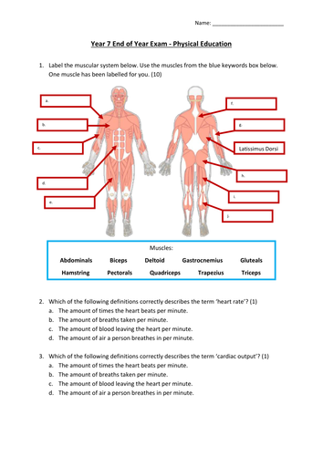 pe theory worksheets ks3