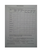 ROCKS WORKSHEET WITH ANSWERS | Teaching Resources