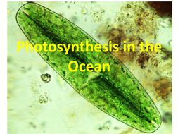 Marine Science - Photosynthesis in the Ocean | Teaching Resources