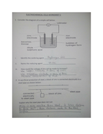 ELECTROCHEMICAL CELLS WORKSHEET WITH ANSWERS | Teaching Resources