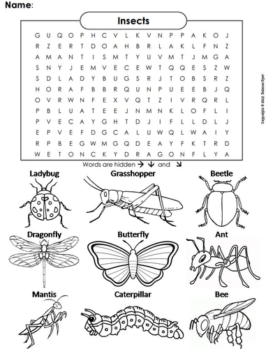 Insects Word Search | Teaching Resources