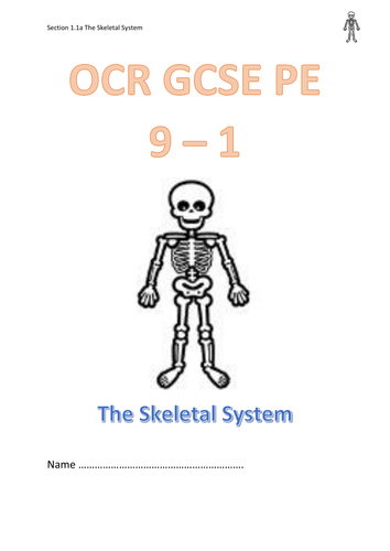 OCR GCSE PE 9 - 1 (New Spec) 1.1.a The Skeletal System Workbook