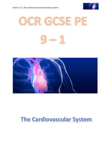 OCR GCSE PE 9 - 1 (New Spec) 1.1.c. The Cardiovascular System