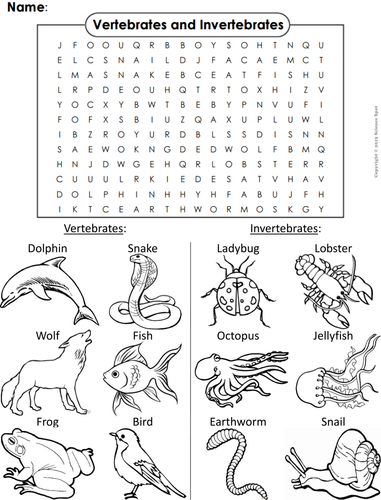 Vertebrates and Invertebrates Word Search | Teaching Resources