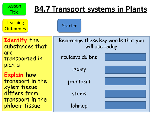 AQA GCSE B4.7 Transport Systems in Plants | Teaching Resources