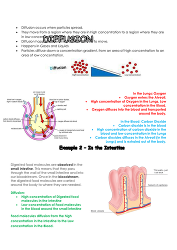 Diffusion NEW AQA Biology 2018 | Teaching Resources
