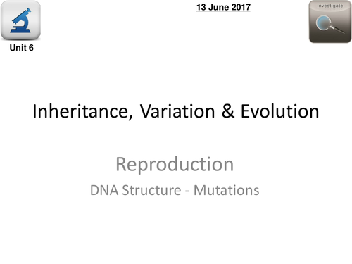 AQA Biology 4.6  –  L2 DNA Mutations