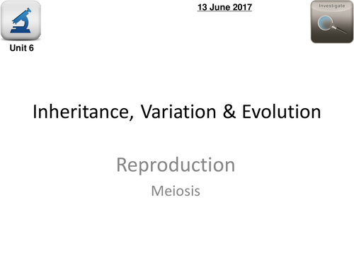 AQA Biology 4.6 – L3 Meiosis