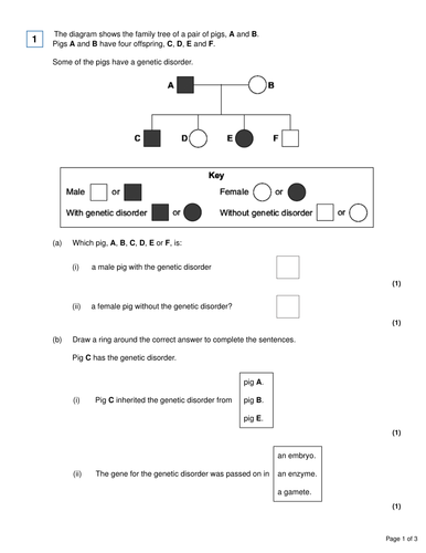 AQA Biology 4.6 – L5 Gender Determination