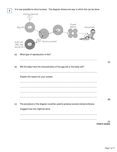 AQA Biology - 4.6 Inheritance, Variation and Evolution Progress Test