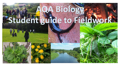 AQA A level Biology Guide to ecology and field studies NEW SPEC ...
