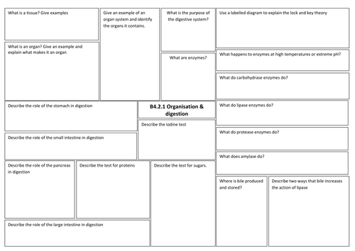 B2 Organisation revision broadsheets for new AQA GCSE Biology (2018)