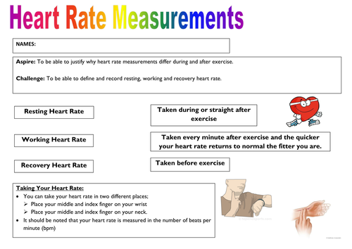 Heart rate worksheet | Teaching Resources