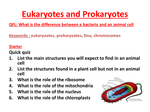 Eukaryotes v Prokaryotes
