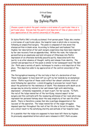 Thesis on marketing orientations