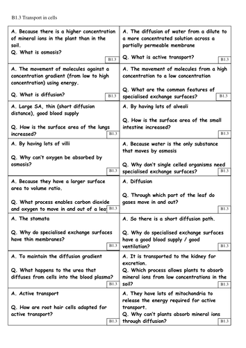 Revision card sorts for AQA 9-1 GCSE Biology / Combined – B1 - Cell ...