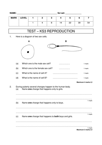 KS3 Biology tests | Teaching Resources