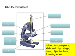 Microscopy Required Practical | Teaching Resources