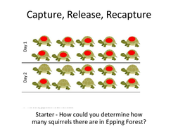 Mark Release Recapture | Teaching Resources