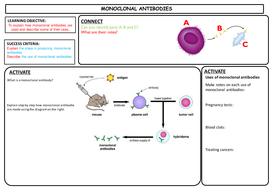 AQA GCSE Biology - monoclonal antibodies presentation | Teaching Resources