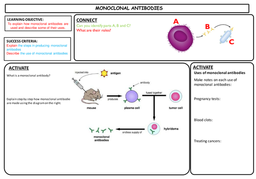 aqa-gcse-biology-monoclonal-antibodies-presentation-teaching-resources